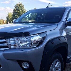 Insekten Steinschlag Schutz Bug Guard Ford Ranger